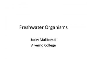 Freshwater Organisms Jacky Maliborski Alverno College Freshwater Organisms