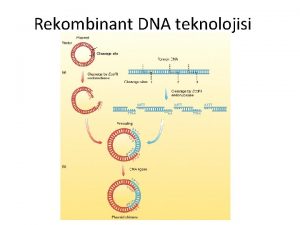 Rekombinant DNA teknolojisi Kathleen Danna ve Daniel Nathans