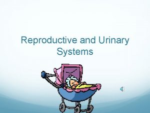 Reproductive and Urinary Systems The goal of reproductive