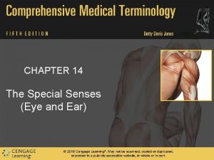 CHAPTER 14 The Special Senses Eye and Ear