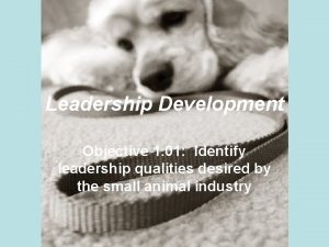 Leadership Development Objective 1 01 Identify leadership qualities