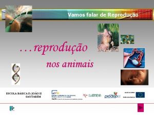 Vamos falar de Reproduo reproduo nos animais ESCOLA