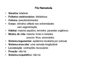 Filo Nematoda Simetria bilateral Folhetos embrionrios triblsticos Celoma