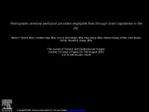 Retrograde cerebral perfusion provides negligible flow through brain