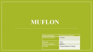 MUFLON Naziv zanimanja Nastavni predmet Veterinarski tehniar Lovstvo