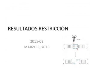 RESULTADOS RESTRICCIN 2015 02 MARZO 3 2015 Std