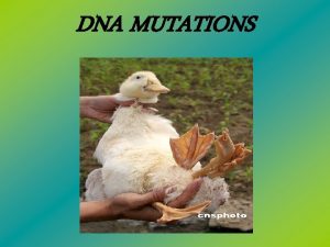 DNA MUTATIONS Mutation Mutation Any change in a