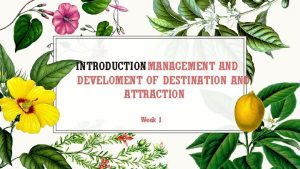 INTRODUCTION MANAGEMENT AND DEVELOMENT OF DESTINATION AND ATTRACTION