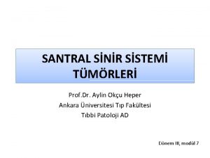 SANTRAL SNR SSTEM TMRLER Prof Dr Aylin Oku