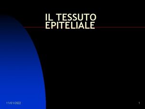 IL TESSUTO EPITELIALE 11012022 1 Prerequisiti n n