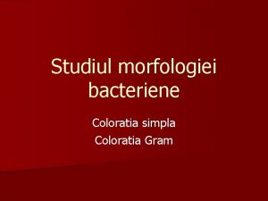 Studiul morfologiei bacteriene Coloratia simpla Coloratia Gram Examinarile