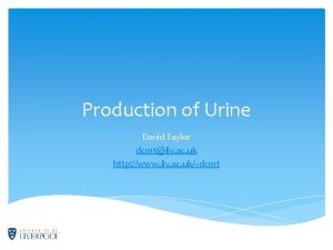 Production of Urine David Taylor dcmtliv ac uk