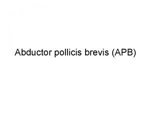 Abductor pollicis brevis APB Thenar Group Attachments Proximal