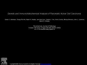 Genetic and Immunohistochemical Analysis of Pancreatic Acinar Cell