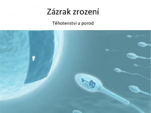 Zzrak zrozen Thotenstv a porod Pi pohlavnm styku