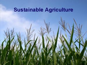 Sustainable Agriculture Background Agriculture has changed dramatically especially