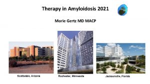 Therapy in Amyloidosis 2021 Morie Gertz MD MACP