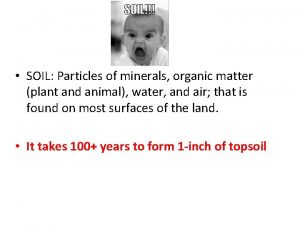 SOIL SOIL Particles of minerals organic matter plant