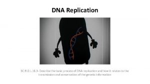 DNA Replication SC 912 L 16 3 Describe