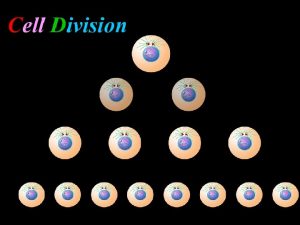The parent cell splits to produce two IDENTICAL