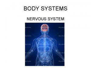 BODY SYSTEMS NERVOUS SYSTEM NERVOUS SYSTEM Your nervous