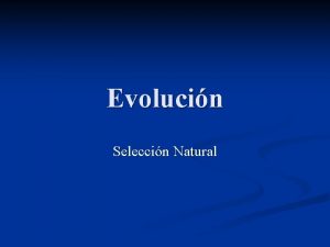 Evolucin Seleccin Natural Seleccin Natural n A Darwin