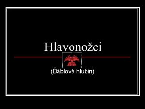 Hlavonoci blov hlubin Co je hlavonoec Hlavonoci pat