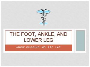 THE FOOT ANKLE AND LOWER LEG ANGIE GUGGINO