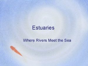 Estuaries Where Rivers Meet the Sea Estuaries Definition