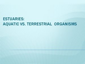 ESTUARIES AQUATIC VS TERRESTRIAL ORGANISMS Estuaries When fresh