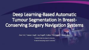 Deep LearningBased Automatic Tumour Segmentation in Breast Conserving