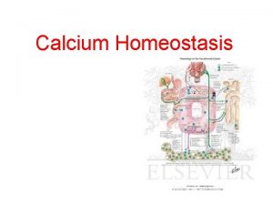 Calcium Homeostasis Dr Faryal Mazhar Calcium Homeostasis Key