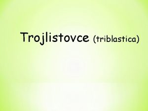 Trojlistovce triblastica Charakteristika trojlistovcov tvoria sa tri zrodon