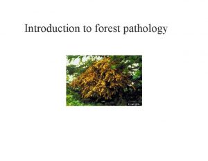 Introduction to forest pathology History of forest pathology
