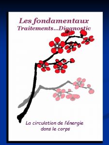 Les fondamentaux TraitementsDiagnostic La circulation de lnergie dans