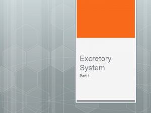 Excretory System Part 1 Excretion Process that rids