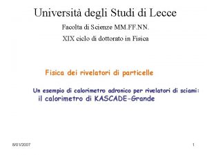 Universit degli Studi di Lecce Facolta di Scienze