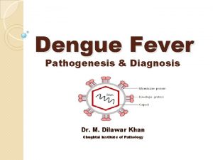 Dengue Fever Pathogenesis Diagnosis Dr M Dilawar Khan