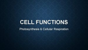 CELL FUNCTIONS Photosynthesis Cellular Respiration AUTOTROPHS HETEROTROPHS Plants