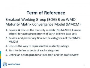 Term of Reference Breakout Working Group BOG B