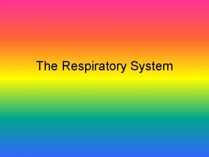 The Respiratory System Functions Moves oxygen into the