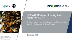 USFWS Monarch Listing and Monarch CCAA Christopher Smith