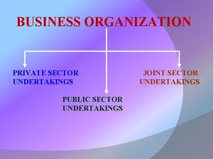 BUSINESS ORGANIZATION PRIVATE SECTOR UNDERTAKINGS PUBLIC SECTOR UNDERTAKINGS