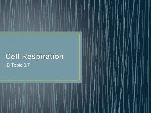 Cell Respiration IB Topic 3 7 Cell respiration
