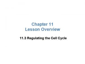 Lesson Overview Regulating the Cell Cycle Chapter 11