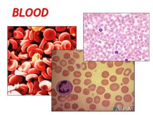 BLOOD Overview of Blood Circulation Blood leaves the