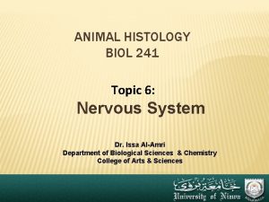 ANIMAL HISTOLOGY BIOL 241 Topic 6 Nervous System