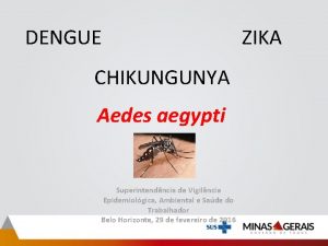 DENGUE CHIKUNGUNYA Aedes aegypti Superintendncia de Vigilncia Epidemiolgica