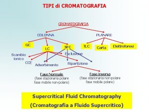 TIPI di CROMATOGRAFIA COLONNA GC Scambio ionico CCE