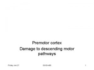 Premotor cortex Damage to descending motor pathways Friday